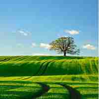 php开​发​必﻿备‍技‍术﻿